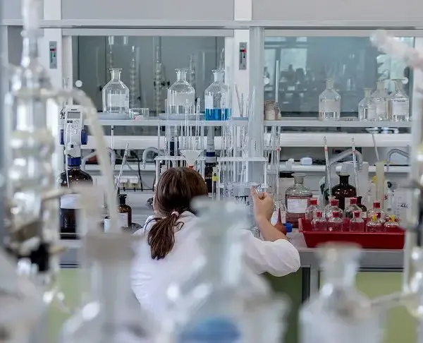 Що тепер буде? Виявлено новий гігантський вірус