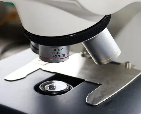 Імунотерапія з доставкою: новий метод б'є по раку точково, не калічаючи здорові…