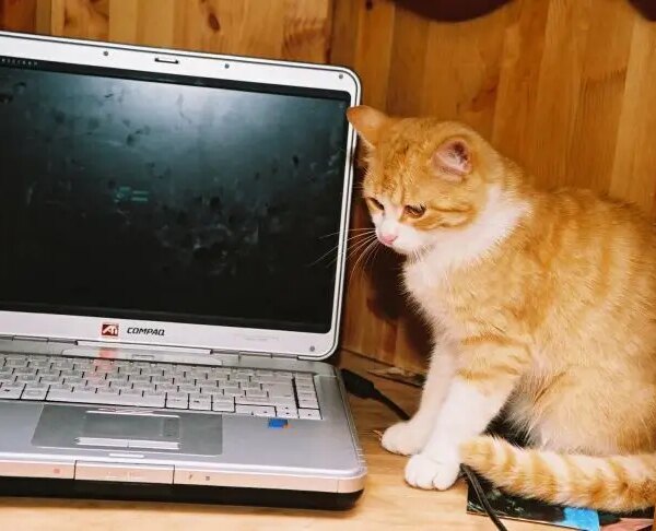 Запатентовано технологію, що дозволяє вести соцмережі після смерті користувача