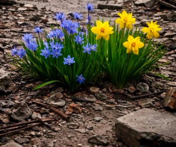 Ротару щемливо відзначила четверту річницю повномасштабної війни в Україні