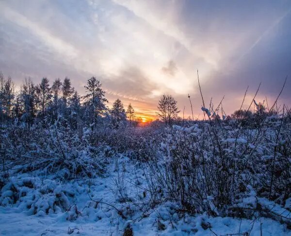 Вчені попередили людство про незворотні зміни клімату