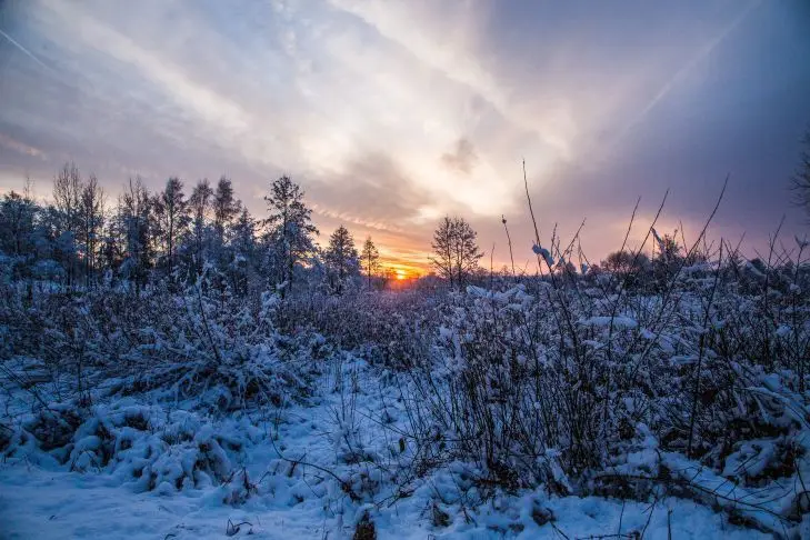 Вчені попередили людство про незворотні зміни клімату природа