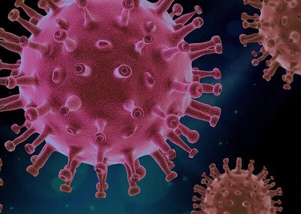 І тоді вони починають мутувати. Вчені з'ясували, як змінювалися віруси, що спричинили&hellip;