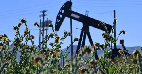 Брак харчів і відмова від авто: наслідки енергетичної кризи