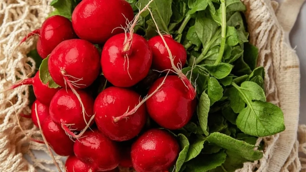 Супермаркети України: вартість редиски та перспективи зниження цін