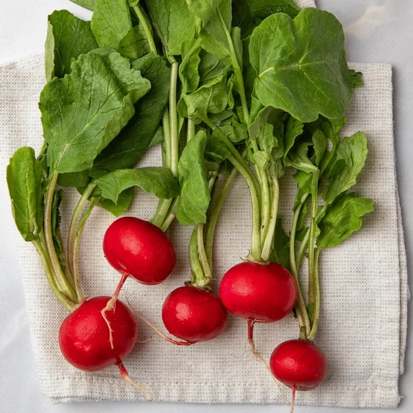 Редиска Фото: Сільпо