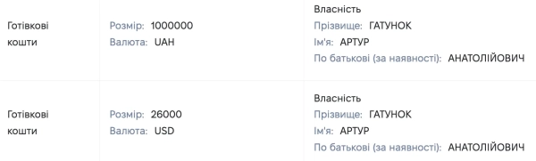 Скріншоти з декларації Гатунка за 2019 рік Скріншоти з декларації Гатунка за 2019 рік