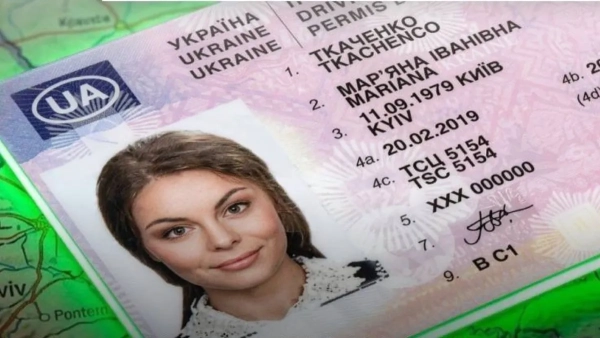Підроблені посвідчення водія без іспитів – схема шахраїв