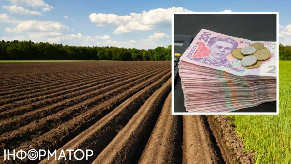 Частка землі та субсидія на житло – як заробіток з ділянки впливає на суму допомоги, роз’яснює ПФУ