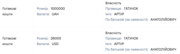 Скріни з декларації Гатунка за 2019 рік