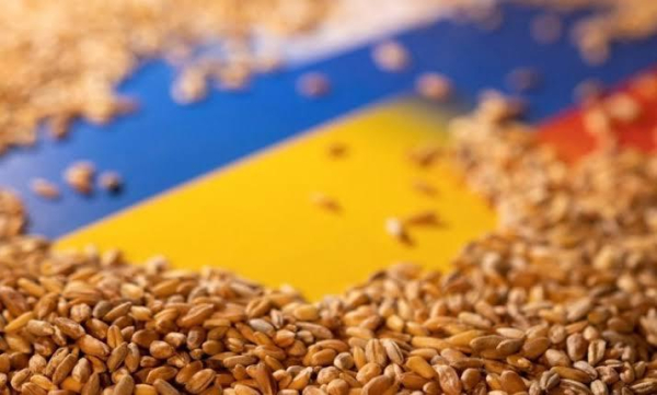 Український агроекспорт у серпні може скоротитися втроє: визначено причини