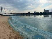 Фахівці з екології роз’яснили, чому змінився колір води та виникла піна у Дніпрі | Нерухомість Києва