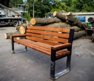 Висаджені в Теремках дерева «Київзеленбуд» спрямує на покращення міського середовища та благоустрій
