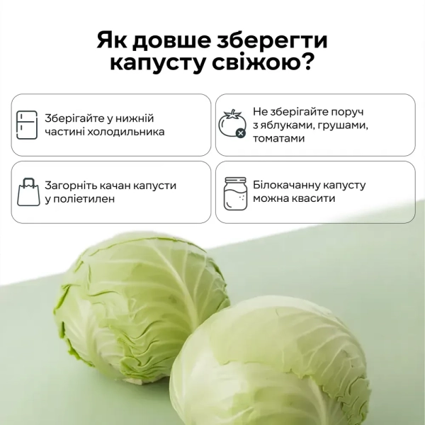 Капуста Фото: Сільпо Капуста Фото: Сільпо