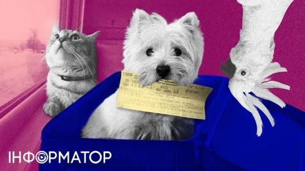 Нова мітка в додатку Укрзалізниці для пасажирів з тваринами