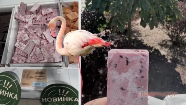 Roshen’s latest creation: Flamingos are milked – discussed on social media.