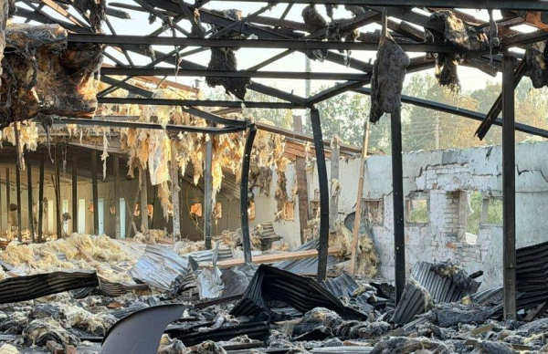 Російський напад знищив курник на Чернігівщині: понад 20 тисяч курей загинуло