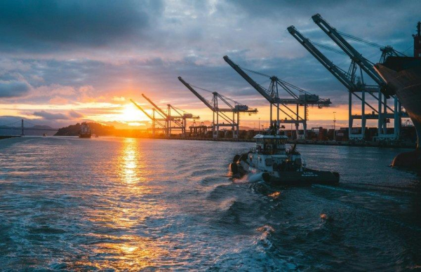 Україна ще не має рішення щодо запуску морського коридору, Висоцький озвучив умову