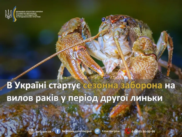 Заборона на вилов раків Заборона на вилов раків
