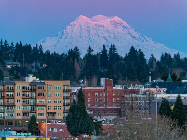 Snow-covered Mount Rainier rises behind evergreen trees and urban apartment buildings at dusk.