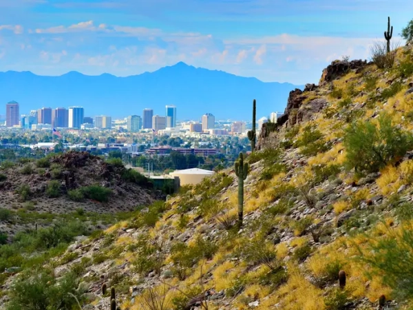 Desert hillside with saguaro cacti overlooks a downtown skyline and distant mountains under a blue sky.