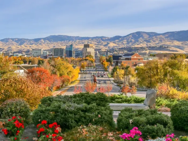 Downtown Boise skyline and Idaho State Capitol seen over an autumn tree-lined boulevard with foothills beyond.
