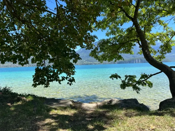 Чиста бірюзова вода озера, видима крізь зелене листя дерев, з горами на протилежному березі.